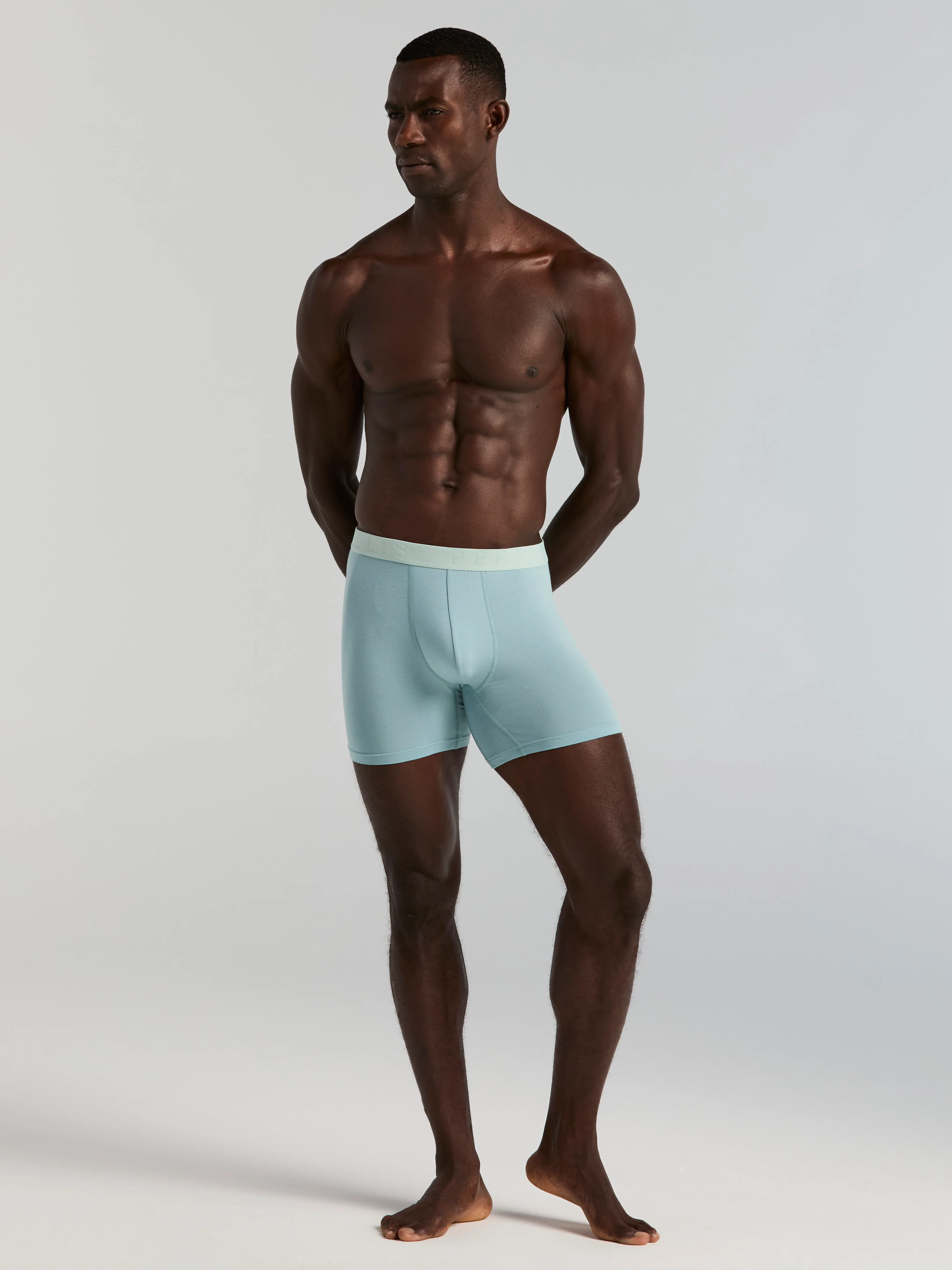 4-Pack Viscose Stretch Classic Boxer Brief - Image 8