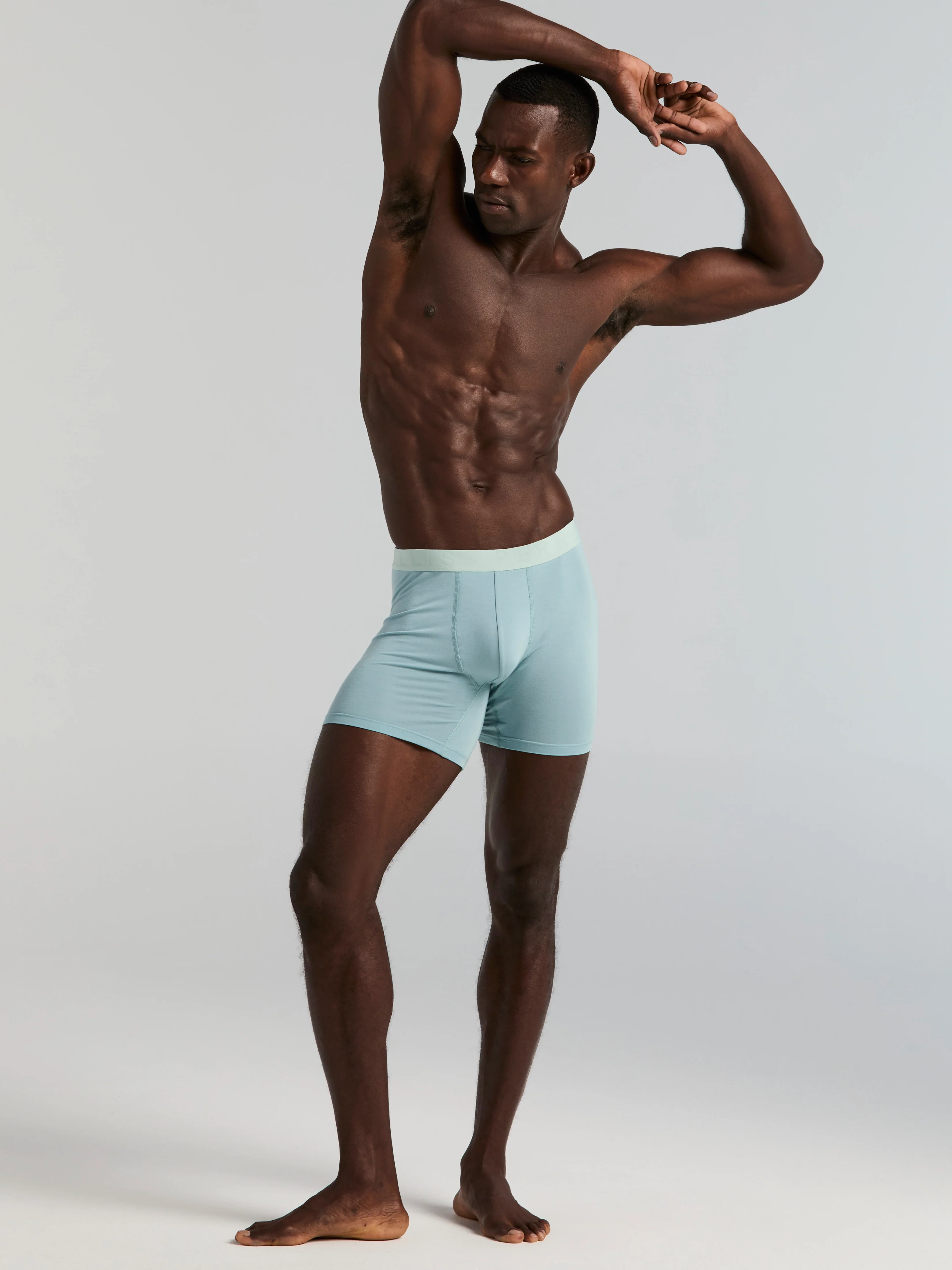 4-Pack Viscose Stretch Classic Boxer Brief - Image 9