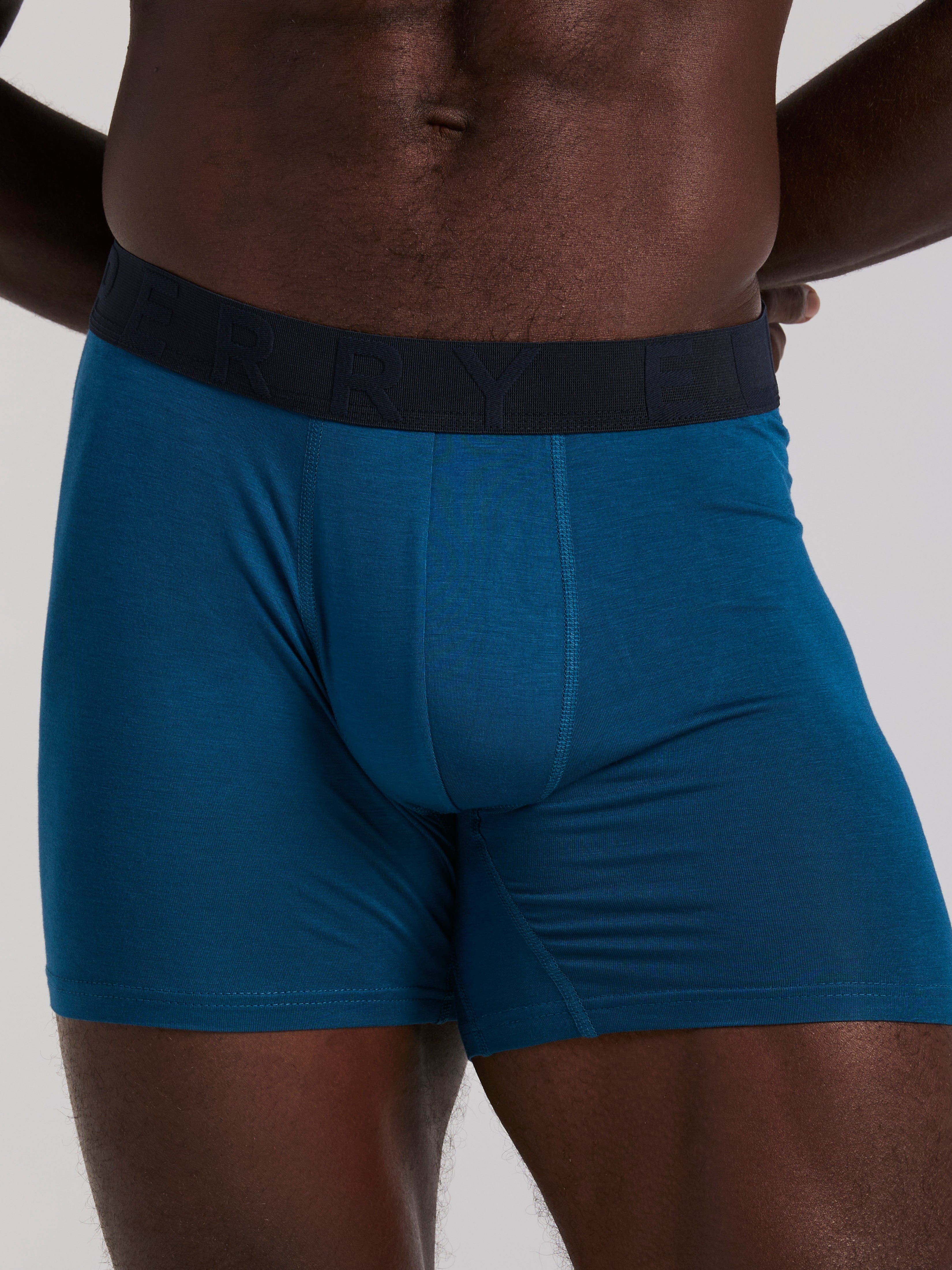 4-Pack Viscose Stretch Classic Boxer Brief - Image 5